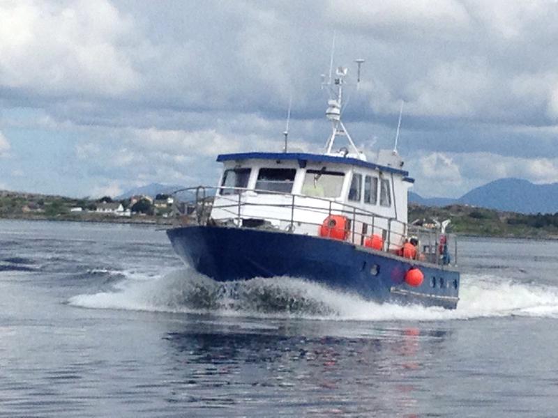 Morning Dew - Vessel for Sale