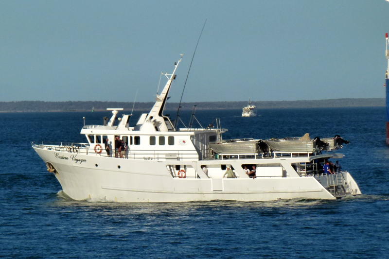 Boats For Sale Australia Boats For Sale Used Boat Sales Commercial Vessels For Sale Passenger Charter Vessel Apollo Duck