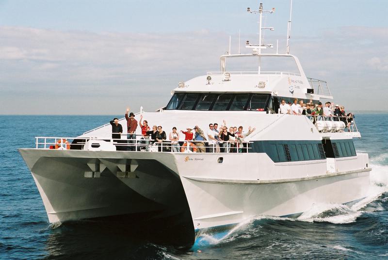 Boats For Sale Australia Boats For Sale Used Boat Sales Commercial Vessels For Sale High Speed Catamaran Ferry Apollo Duck
