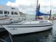 Colvic Liberator 35