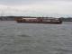 Superb Hull for Conversion
