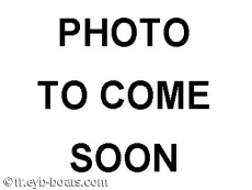 2008 BAVARIA 40 CRUISER