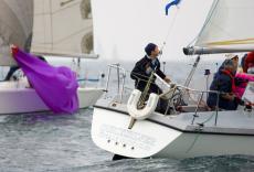 Click for full size image