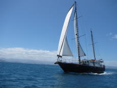 23m CUSTOM MOTOR SAILOR