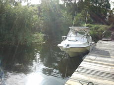 Click for full size image