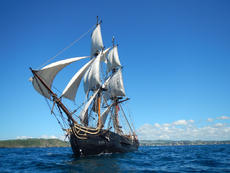 PHOENIX now available for sale or charter