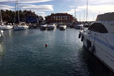 Click for full size image