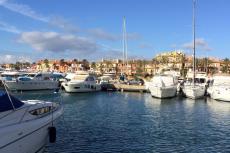 Click for full size image