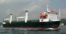 349' GEARED HEAVY LIFT RORO VESSEL