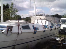 tiki wharram yachts