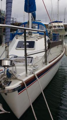 Click for full size image