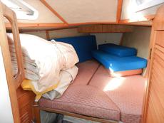 Click for full size image