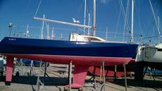 Flare 25 (available)