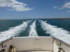 Click for full size image