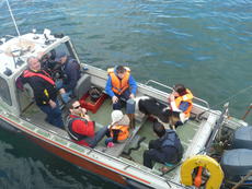 Click for full size image