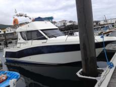 Click for full size image