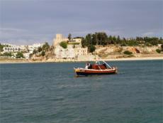 Click for full size image