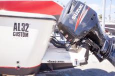 Click for full size image