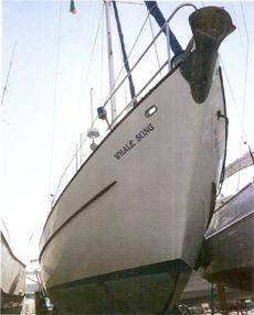 Click for full size image