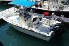 Boston Whaler 190 Outrage 2006