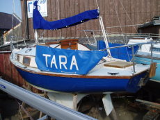 NEWBRIDGE CORRIBEE MK.1 FIN