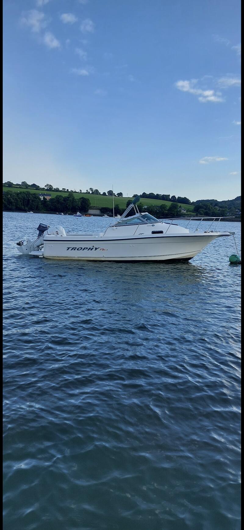 Ireland: Bayliner trophy 2002 wa pro
