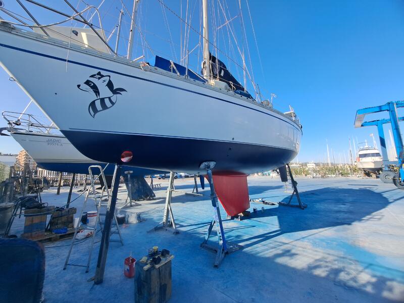 Spain: Jeanneau Sun Fizz   Rocky Raccoon
