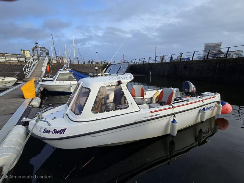 UK: 2010 Sea Swift 500