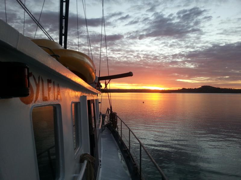 23m CUSTOM MOTOR SAILOR