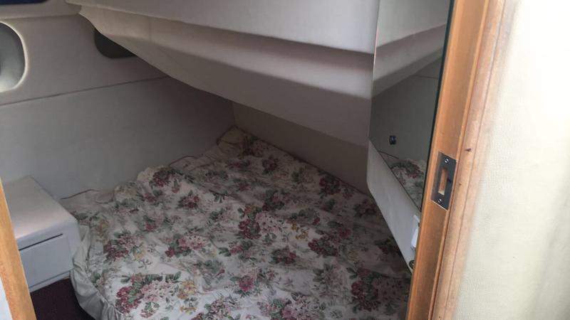 Darragh f37 flybridge