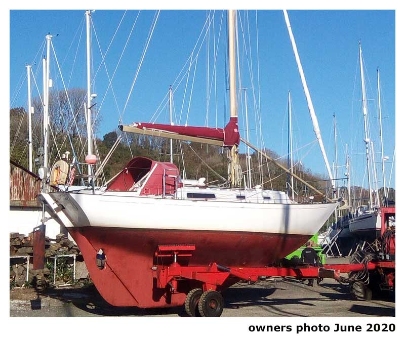 rustler 31 yacht for sale