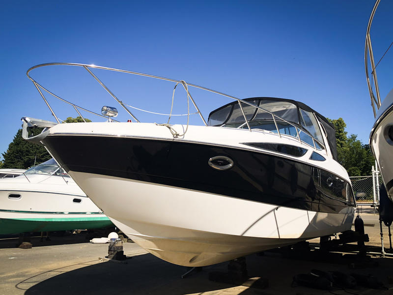 Bayliner 335