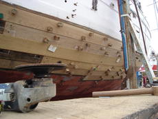 Wooden nails awaiting to have their heads sawn off