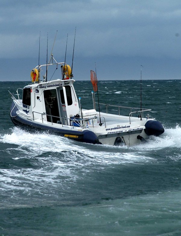 jet boat for sale malaysia redbay redbay stormforce 9 1 for sale boats for sale jet boat for sale malaysia redbay redbay stormforce 9 1 for sale boats for sale