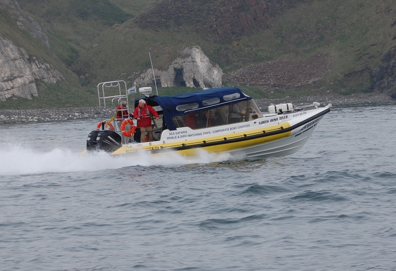 red bay boats for sale redbay redbay stormforce 11 canopy for sale boats for red bay boats for sale redbay redbay stormforce 11 canopy for sale boats for