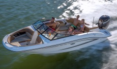 Sea Ray 21 SPX OB