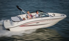 Sea Ray 19 SPX